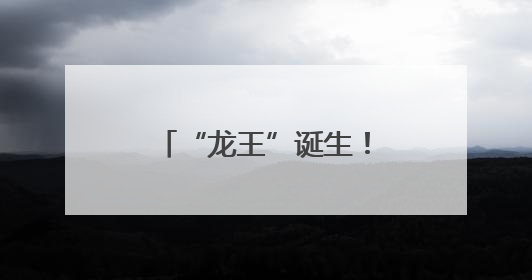 “龙王”诞生！南海西樵“半山扒龙船”热闹开锣