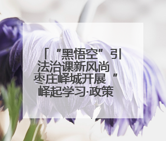 “黑悟空”引法治课新风尚 枣庄峄城开展“峄起学习·政策法规宣讲面对面”活动