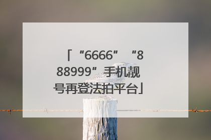 “6666”“888999”手机靓号再登法拍平台