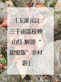 玉溪元江：三千亩荔枝映山红 解锁“甜蜜版”乡村游