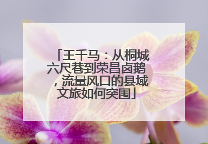 王千马：从桐城六尺巷到荣昌卤鹅，流量风口的县域文旅如何突围
