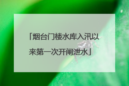 烟台门楼水库入汛以来第一次开闸泄水