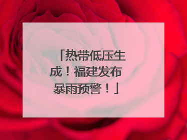 热带低压生成！福建发布暴雨预警！