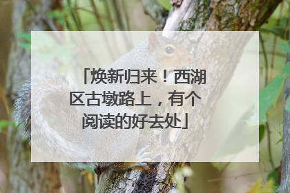 焕新归来！西湖区古墩路上，有个阅读的好去处