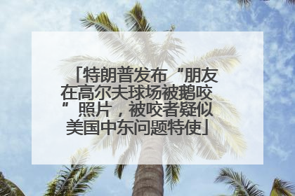 特朗普发布“朋友在高尔夫球场被鹅咬”照片，被咬者疑似美国中东问题特使