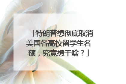 特朗普想彻底取消美国各高校留学生名额，究竟想干啥？