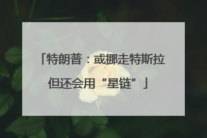 特朗普：或挪走特斯拉 但还会用“星链”