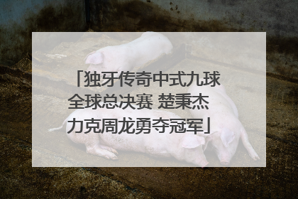 独牙传奇中式九球全球总决赛 楚秉杰力克周龙勇夺冠军
