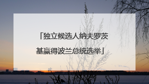 独立候选人纳夫罗茨基赢得波兰总统选举