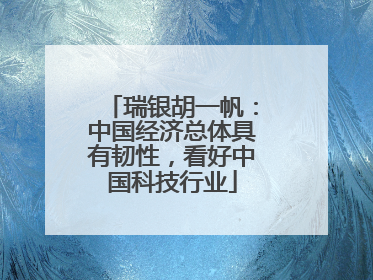 瑞银胡一帆：中国经济总体具有韧性，看好中国科技行业