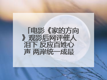 电影《家的方向》观影后网评催人泪下 反应百姓心声 两岸统一成最强音！