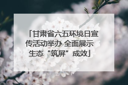 甘肃省六五环境日宣传活动举办 全面展示生态“筑屏”成效