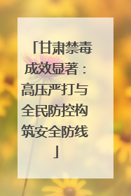甘肃禁毒成效显著：高压严打与全民防控构筑安全防线