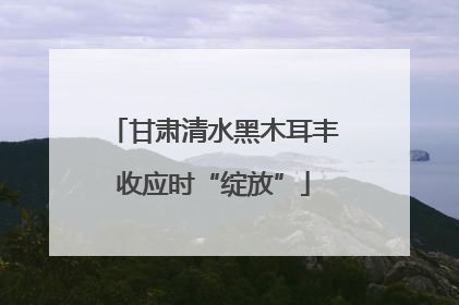 甘肃清水黑木耳丰收应时“绽放”