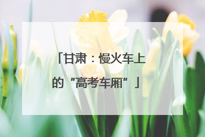 甘肃：慢火车上的“高考车厢”