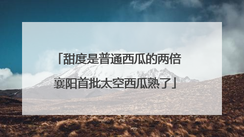 甜度是普通西瓜的两倍 襄阳首批太空西瓜熟了