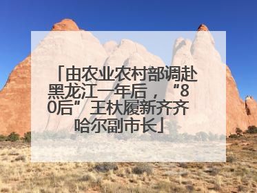 由农业农村部调赴黑龙江一年后，“80后”王杕履新齐齐哈尔副市长