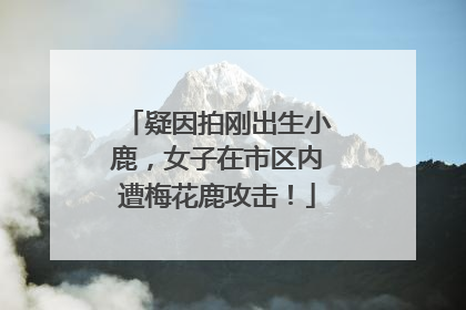 疑因拍刚出生小鹿，女子在市区内遭梅花鹿攻击！