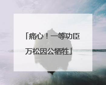 痛心！一等功臣万松因公牺牲