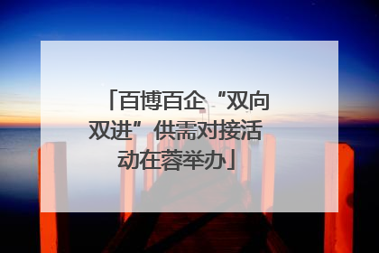 百博百企“双向双进”供需对接活动在蓉举办