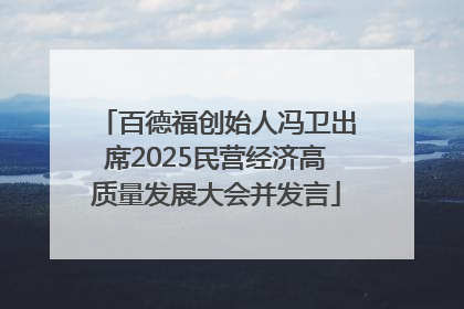 百德福创始人冯卫出席2025民营经济高质量发展大会并发言