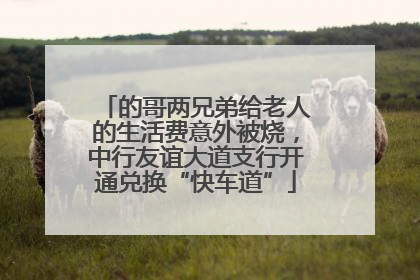 的哥两兄弟给老人的生活费意外被烧，中行友谊大道支行开通兑换“快车道”