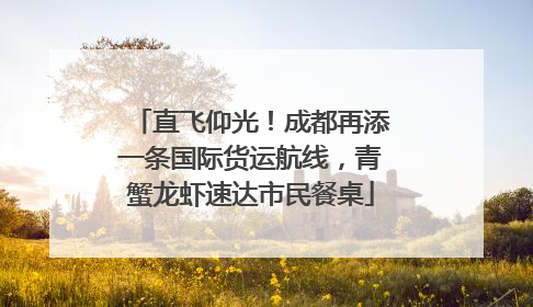 直飞仰光！成都再添一条国际货运航线，青蟹龙虾速达市民餐桌