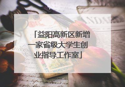 益阳高新区新增一家省级大学生创业指导工作室