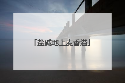 盐碱地上麦香溢