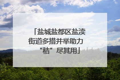盐城盐都区盐渎街道多措并举助力“秸”尽其用