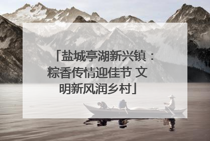 盐城亭湖新兴镇：粽香传情迎佳节 文明新风润乡村