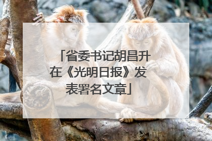 省委书记胡昌升在《光明日报》发表署名文章