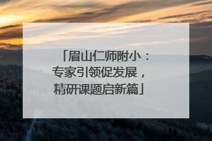 眉山仁师附小：专家引领促发展，精研课题启新篇
