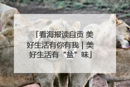看海报读自贡 美好生活有你有我｜美好生活有“盐”味