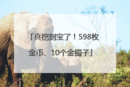 真挖到宝了！598枚金币、10个金镯子