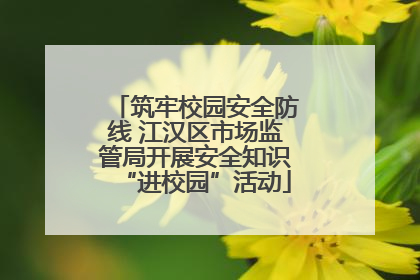 筑牢校园安全防线 江汉区市场监管局开展安全知识“进校园”活动