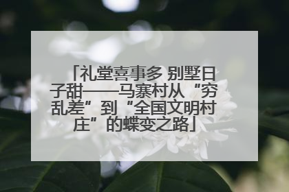礼堂喜事多 别墅日子甜——马寨村从“穷乱差”到“全国文明村庄”的蝶变之路