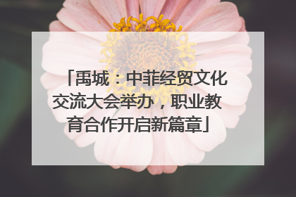 禹城：中菲经贸文化交流大会举办，职业教育合作开启新篇章