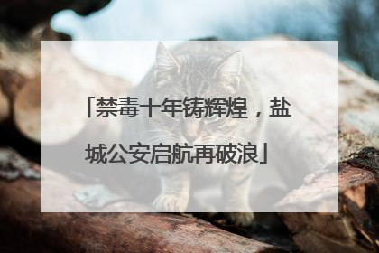 禁毒十年铸辉煌，盐城公安启航再破浪