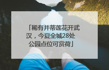 稀有并蒂莲花开武汉，今夏全城28处公园点位可赏荷