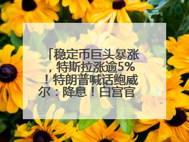 稳定币巨头暴涨，特斯拉涨逾5%！特朗普喊话鲍威尔：降息！白宫官员：特朗普无与马斯克交谈计划，他正考虑卖掉红色特斯拉