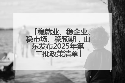 稳就业、稳企业、稳市场、稳预期，山东发布2025年第二批政策清单