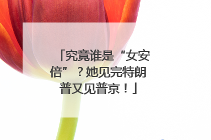 究竟谁是“女安倍”？她见完特朗普又见普京！