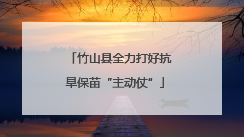竹山县全力打好抗旱保苗“主动仗”