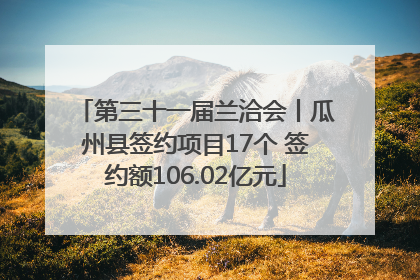 第三十一届兰洽会丨瓜州县签约项目17个 签约额106.02亿元