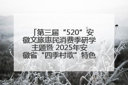 第三届“520”安徽文旅惠民消费季研学主题暨 2025年安徽省“四季村歌”特色展演燃动池州