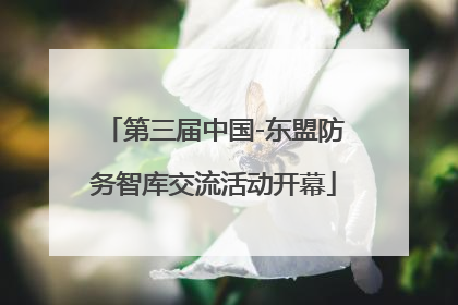 第三届中国-东盟防务智库交流活动开幕