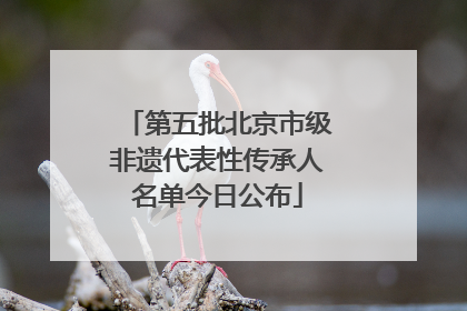 第五批北京市级非遗代表性传承人名单今日公布