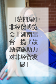 第四届中非经贸博览会丨湖南出台一揽子鼓励措施助力对非经贸发展