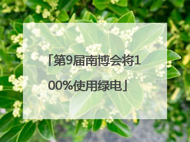 第9届南博会将100%使用绿电
